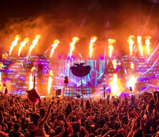 Nocturnal Wonderland